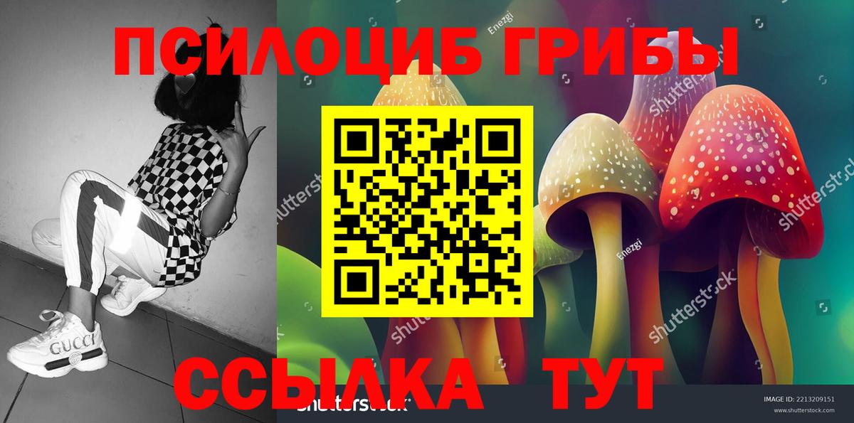 цены наркотик  Галлюциногенные грибы Psilocybe  Вход с VPN  Лесозаводск  Псилоцибиновые грибы Cubensis 